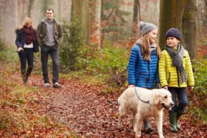 Waling the dog with children in winter